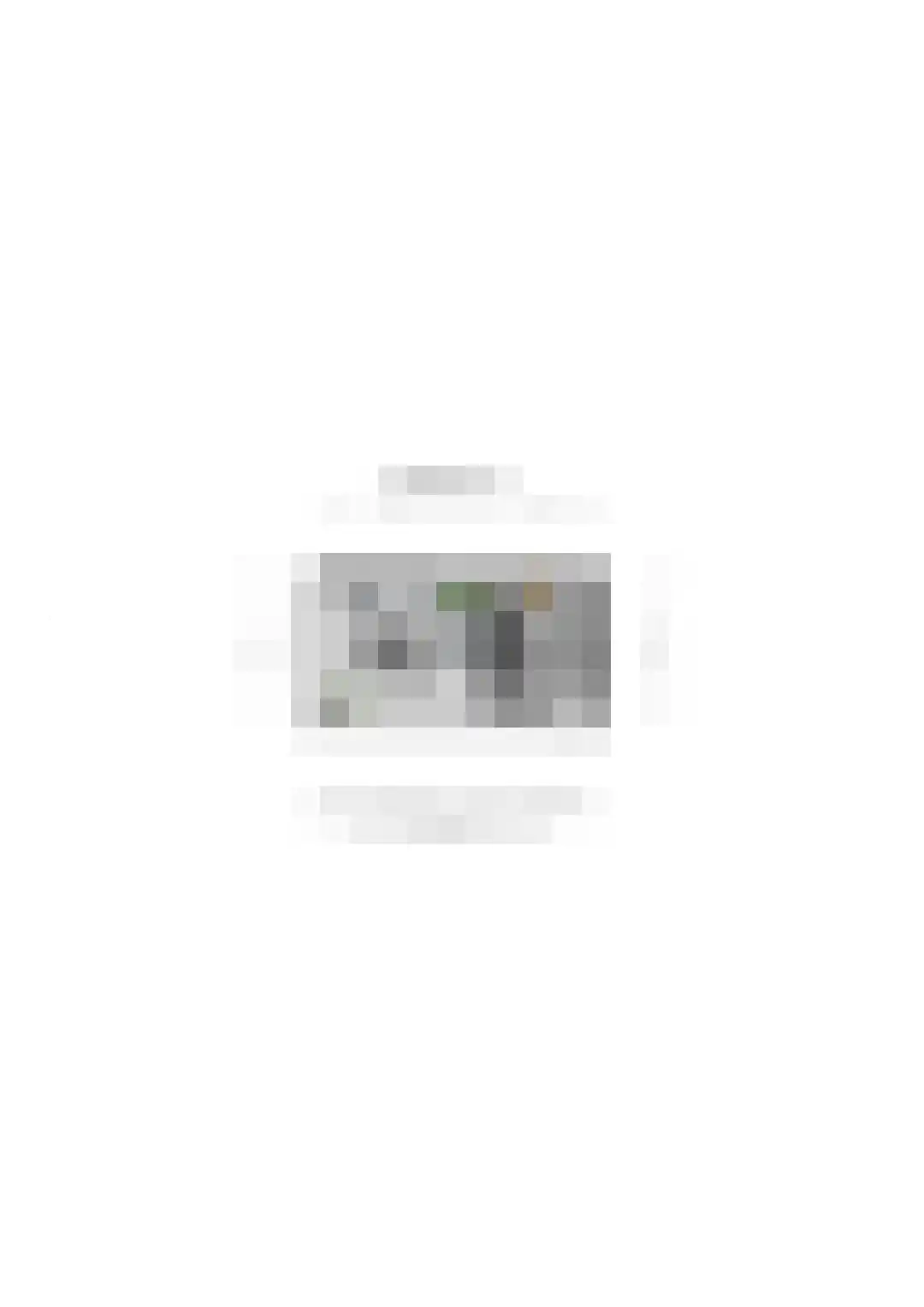 Meerkoet 11 Fijnaart thumbnail 56