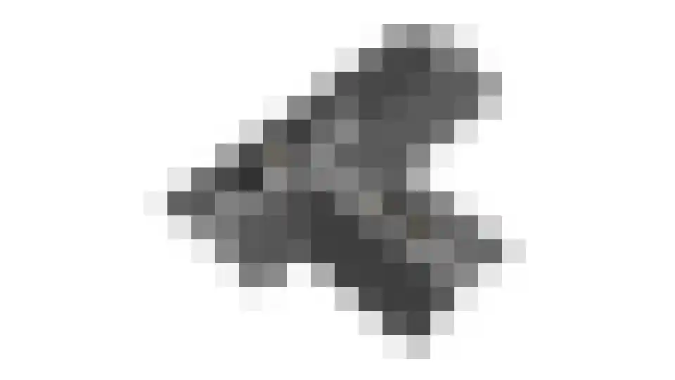 Meerkoet 11 Fijnaart thumbnail 61