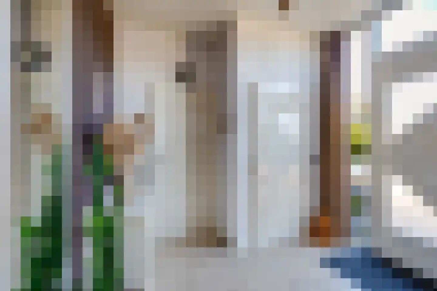 Meerkoet 11 Fijnaart thumbnail 7