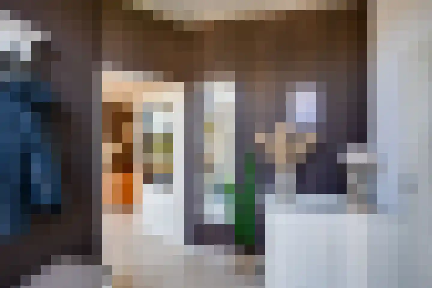 Meerkoet 11 Fijnaart thumbnail 8