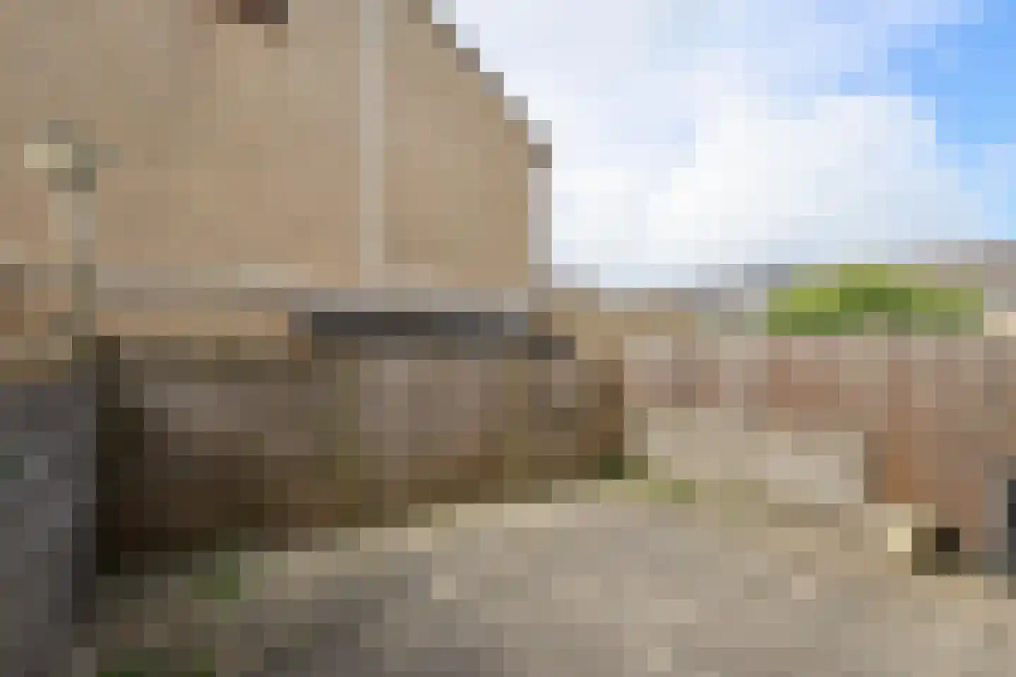 Meerkoet 11 Rockanje thumbnail 34