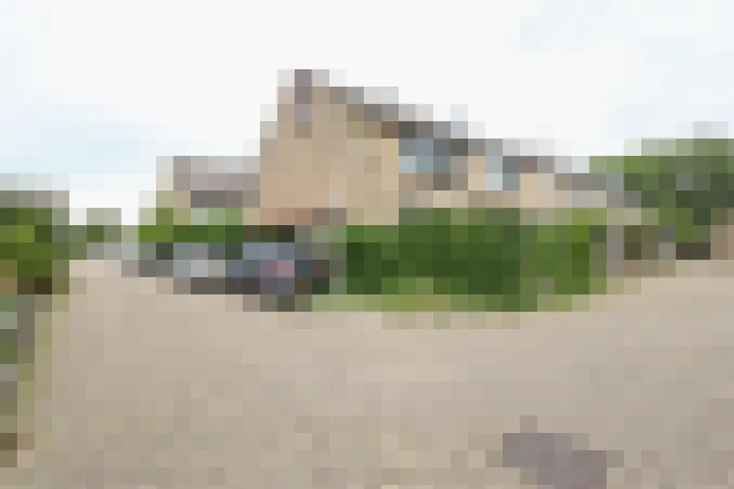 Meerkoet 11 Rockanje thumbnail 36