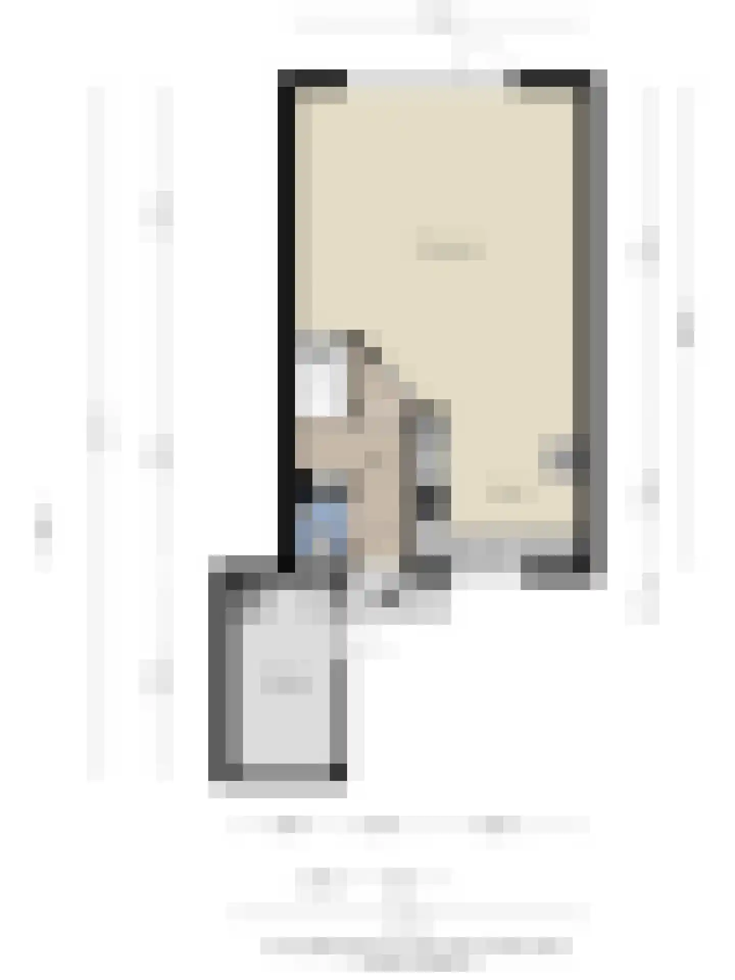 Meerkoet 11 Rockanje thumbnail 37