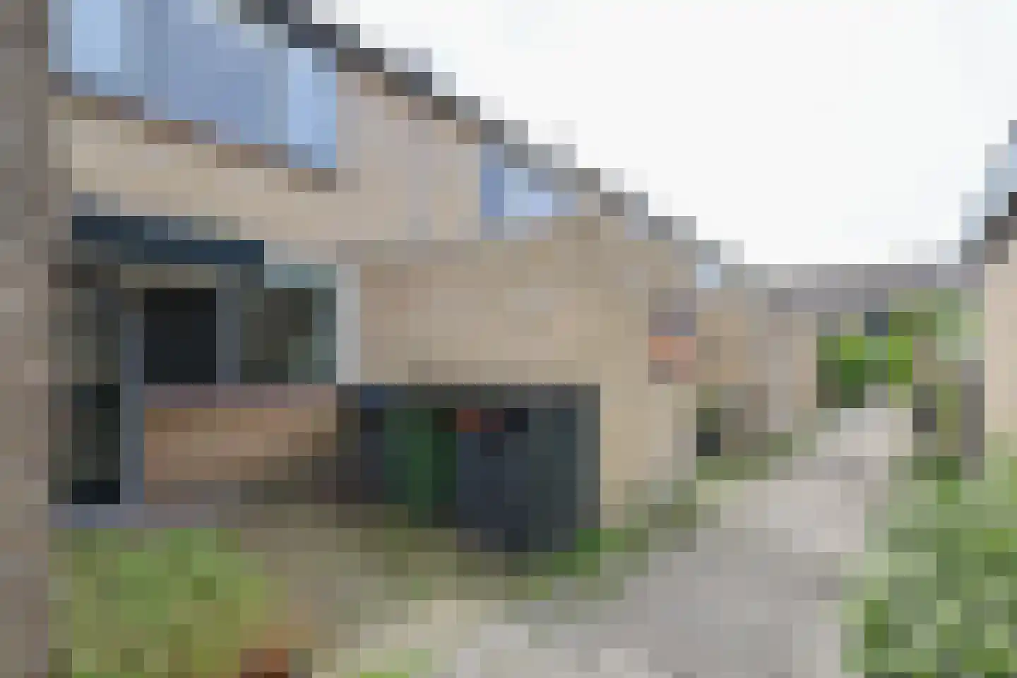 Meerkoet 11 Rockanje thumbnail 5
