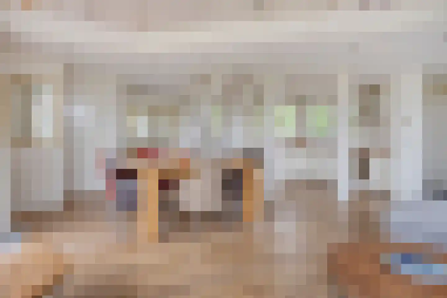 Meerkoet 11 Zoutelande thumbnail 11