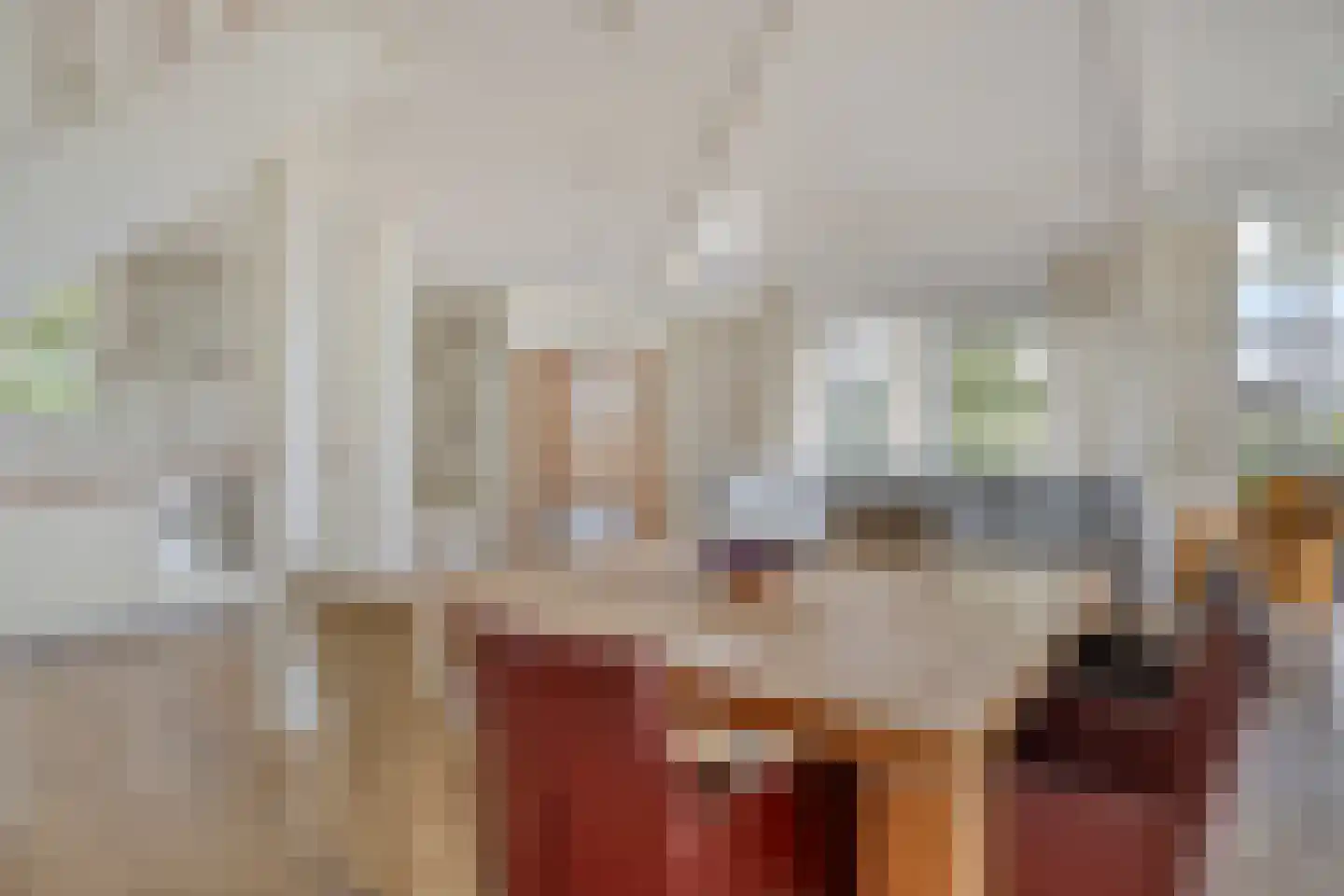 Meerkoet 11 Zoutelande thumbnail 12