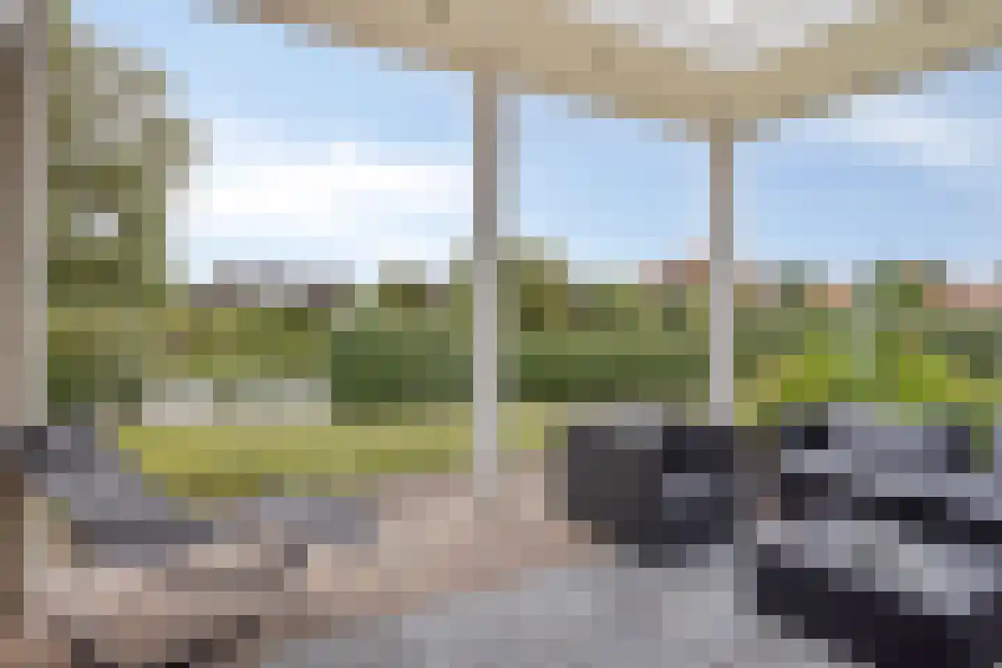 Meerkoet 11 Zoutelande thumbnail 14