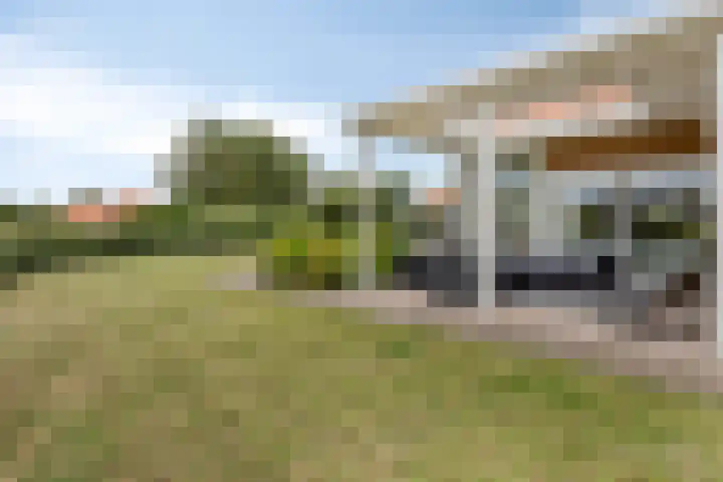Meerkoet 11 Zoutelande thumbnail 15