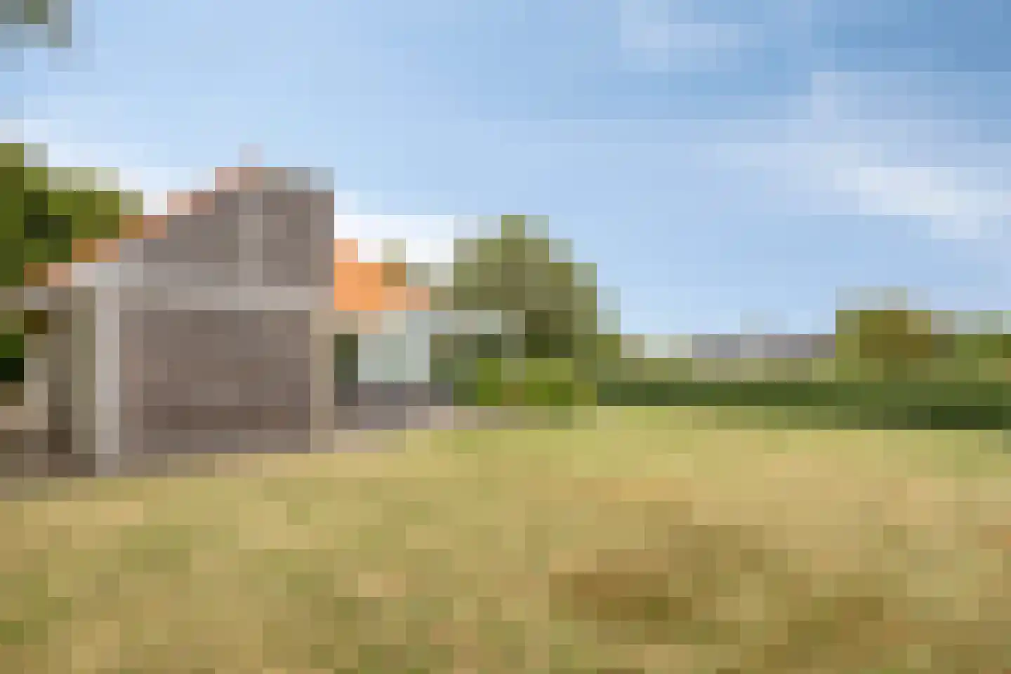 Meerkoet 11 Zoutelande thumbnail 16