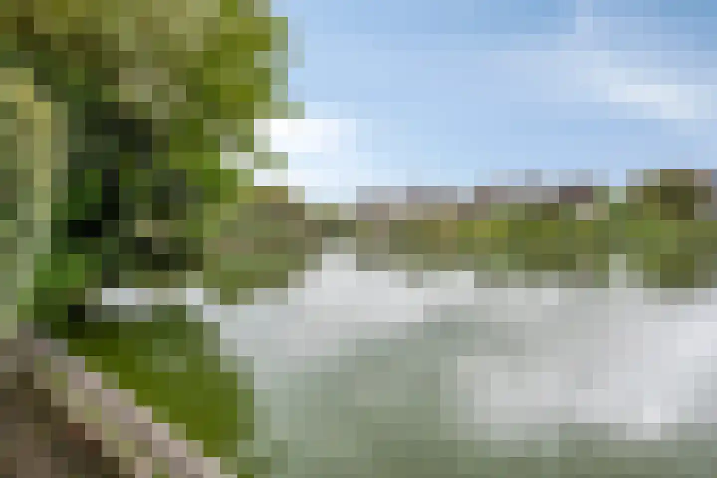 Meerkoet 11 Zoutelande thumbnail 19