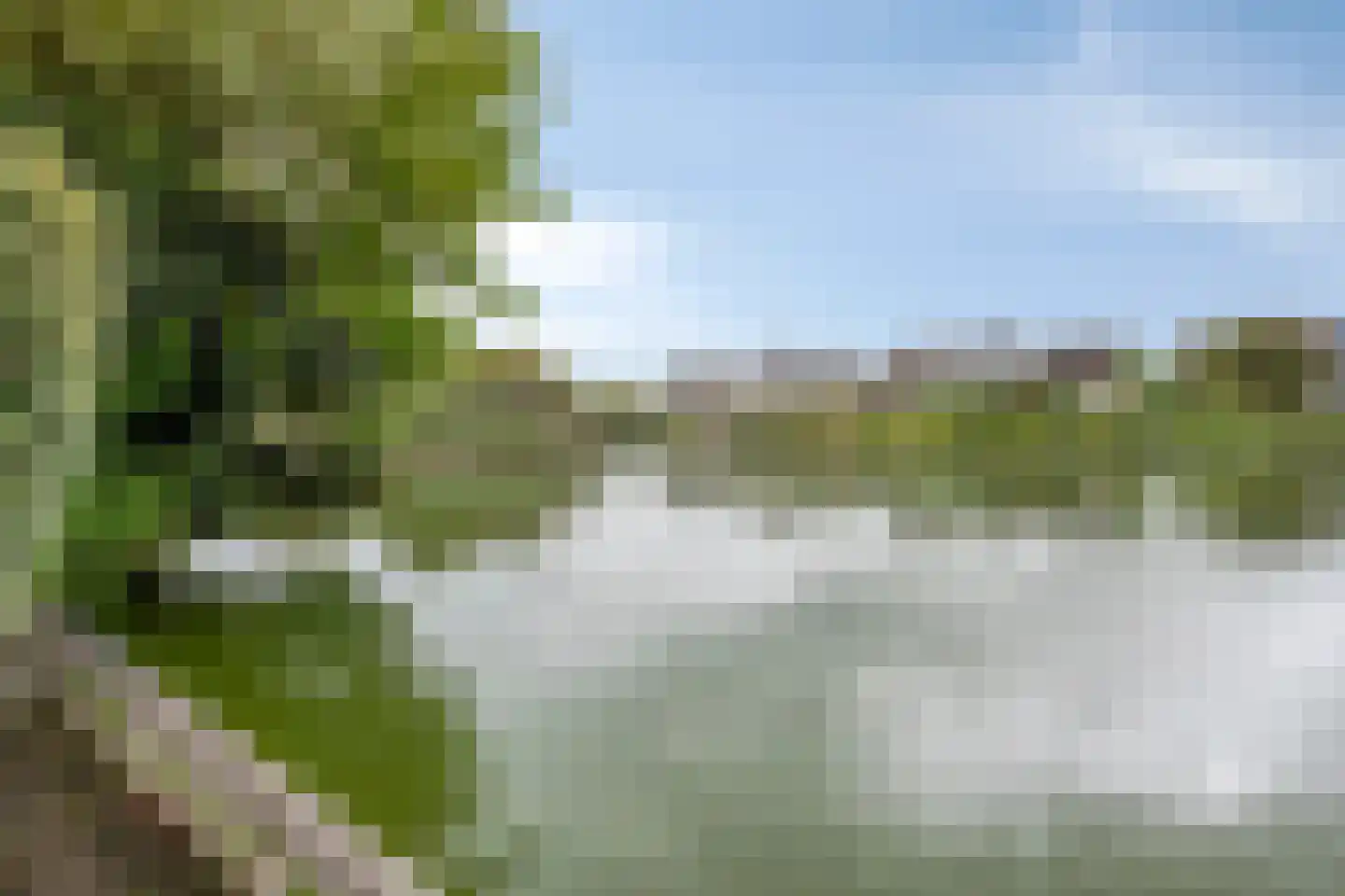 Meerkoet 11 Zoutelande thumbnail 19