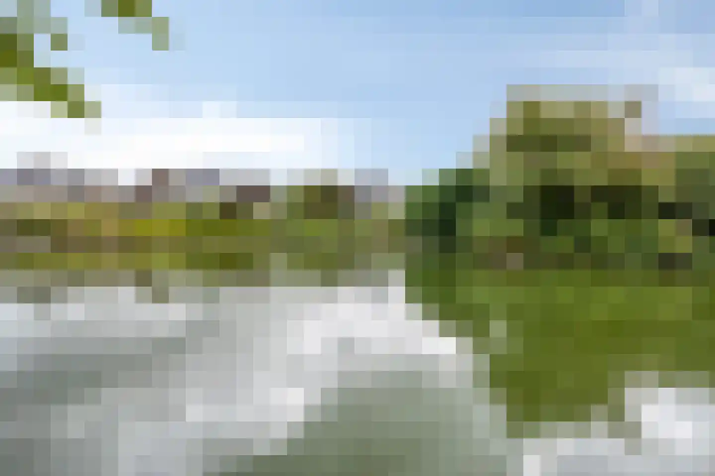 Meerkoet 11 Zoutelande thumbnail 20