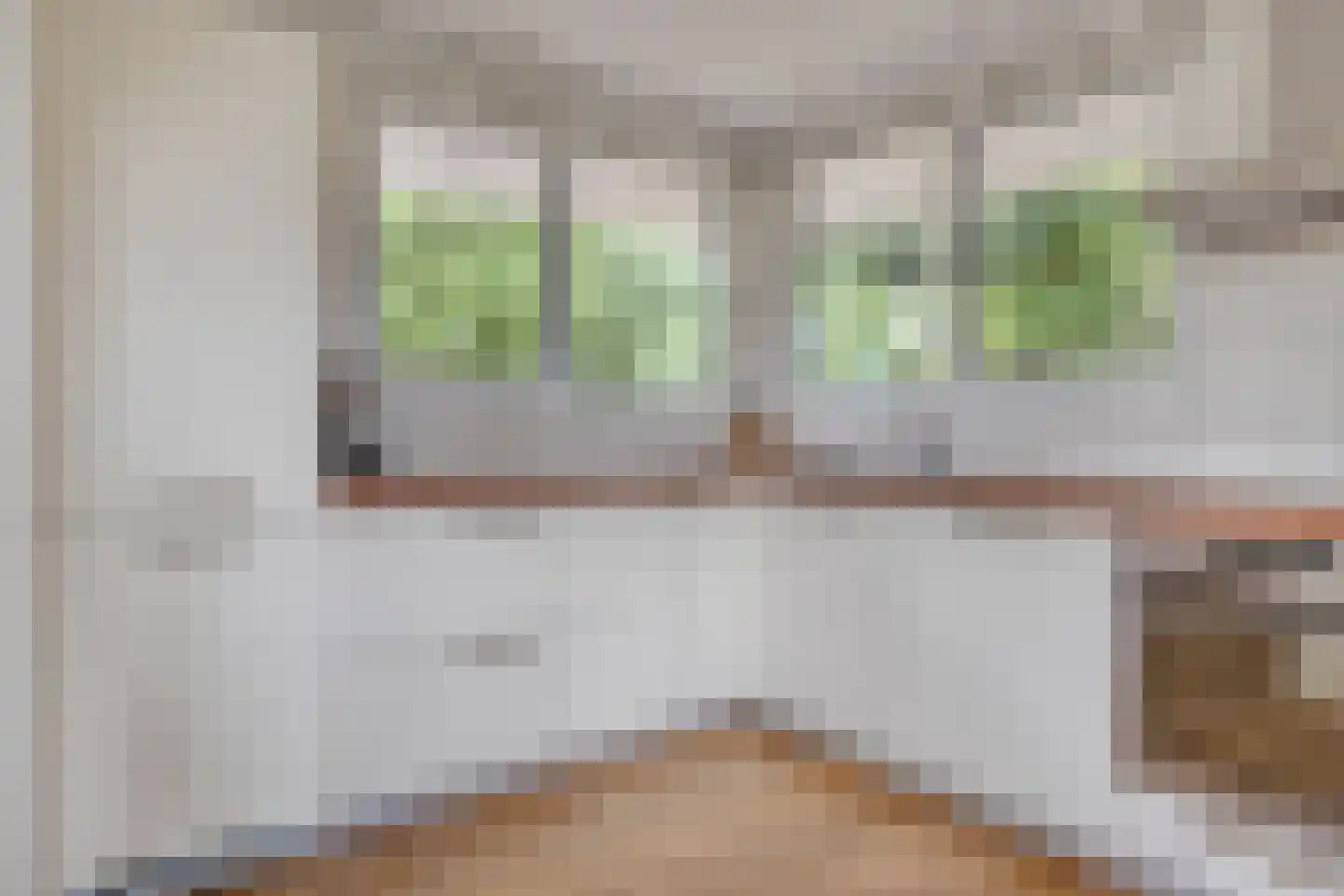 Meerkoet 11 Zoutelande thumbnail 21