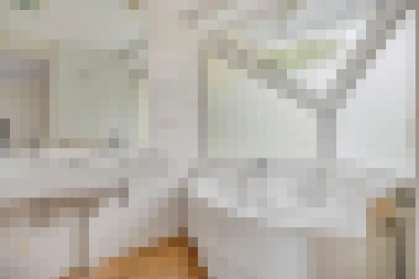 Meerkoet 11 Zoutelande thumbnail 26