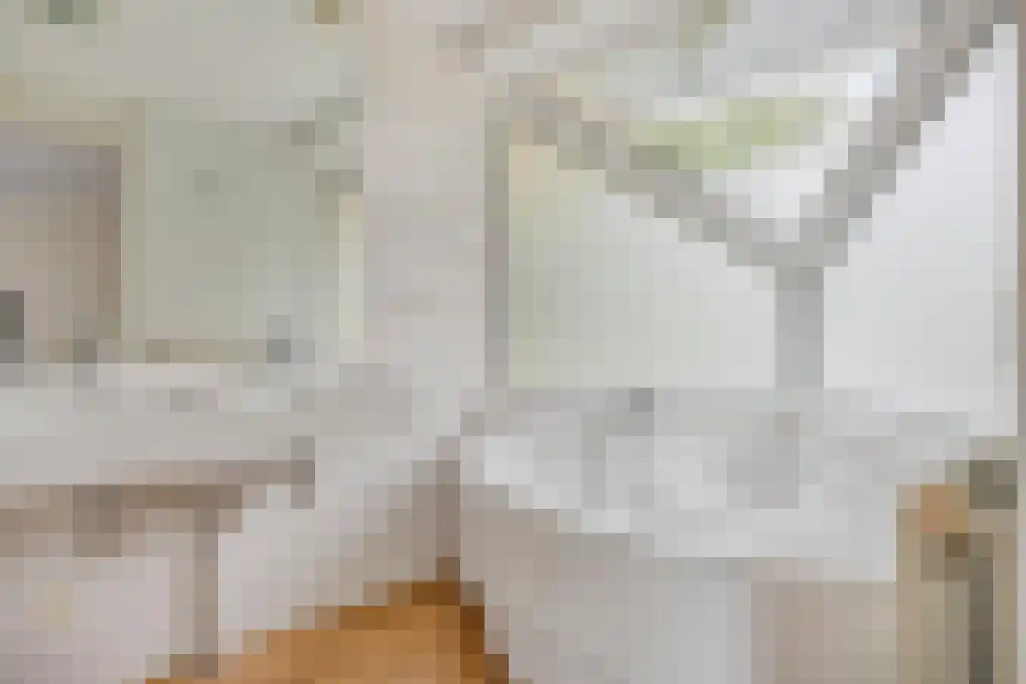 Meerkoet 11 Zoutelande thumbnail 26