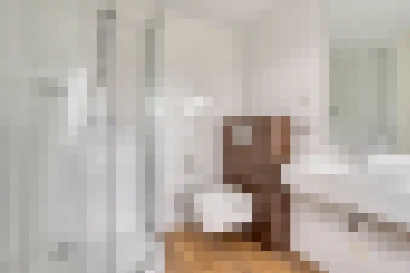 Meerkoet 11 Zoutelande thumbnail 27
