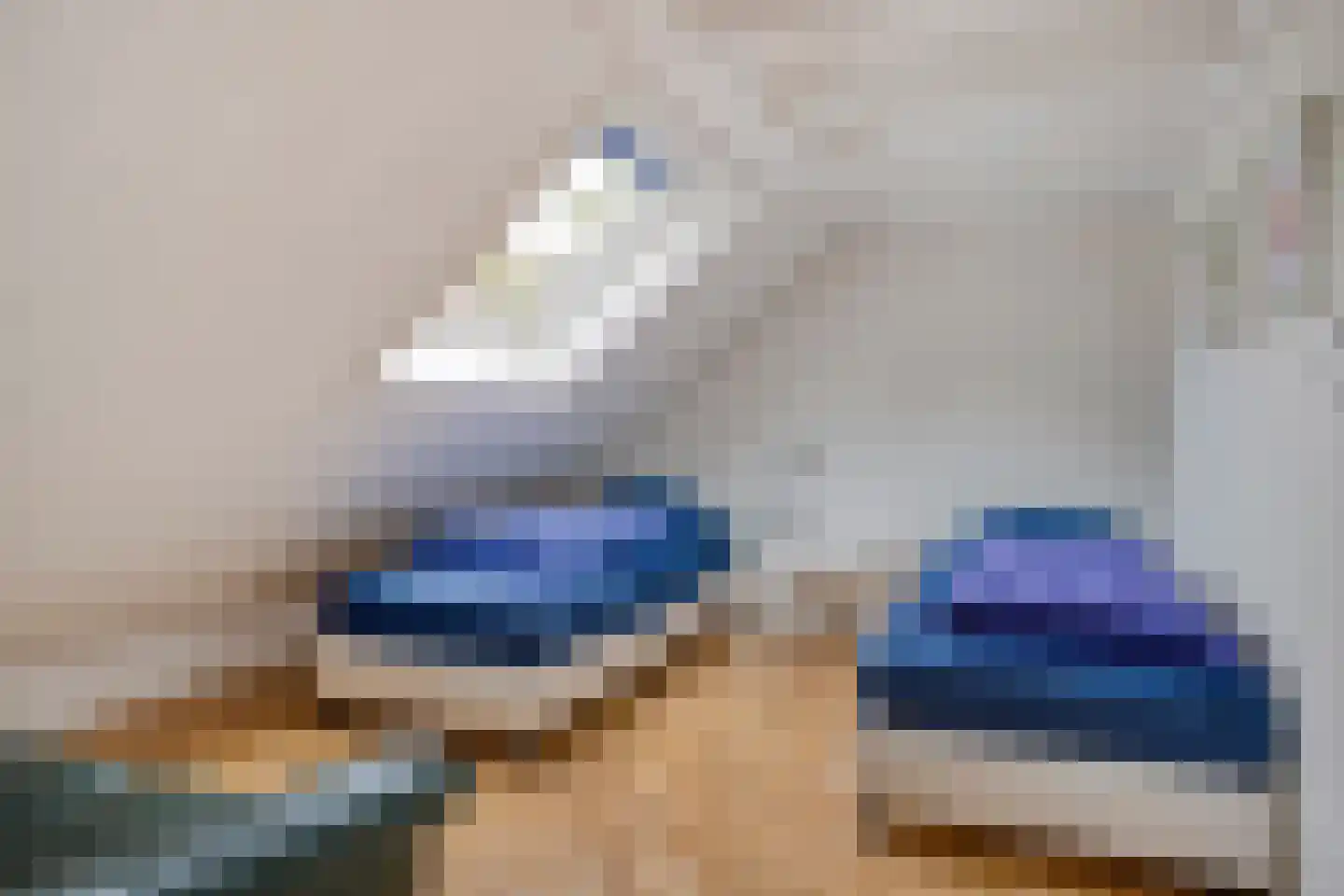 Meerkoet 11 Zoutelande thumbnail 32