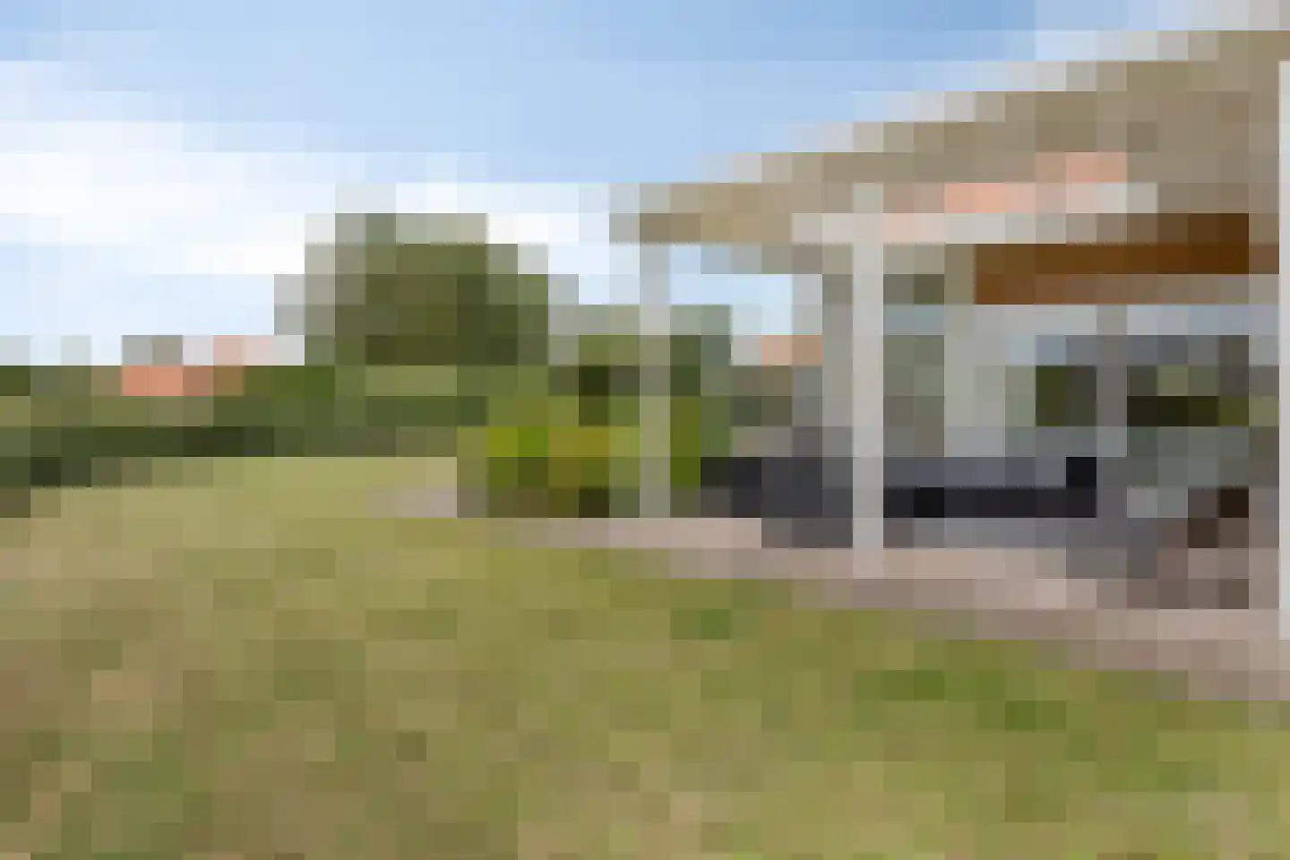 Meerkoet 11 Zoutelande thumbnail 4