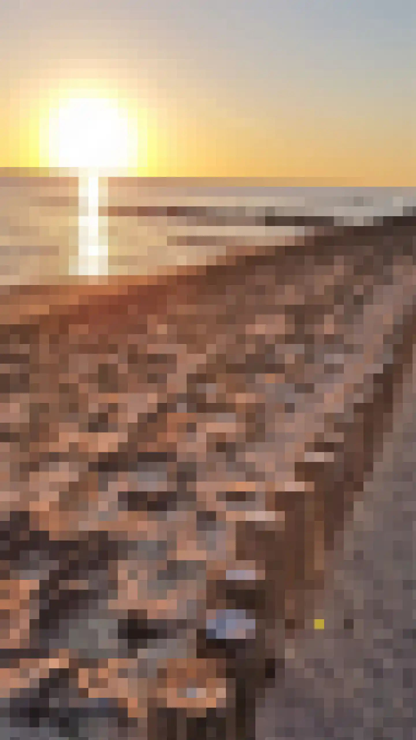 Meerkoet 11 Zoutelande thumbnail 40