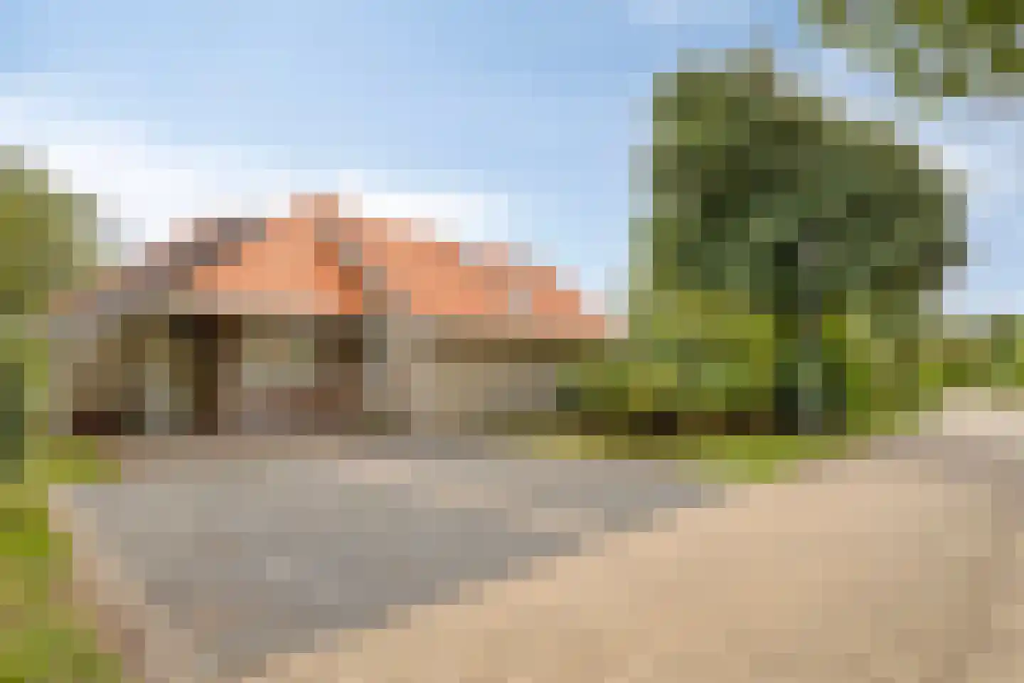Meerkoet 11 Zoutelande thumbnail 5