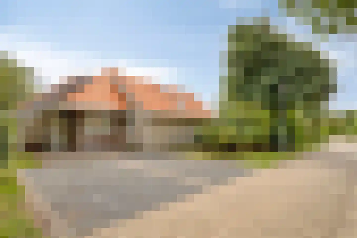 Meerkoet 11 Zoutelande thumbnail 5