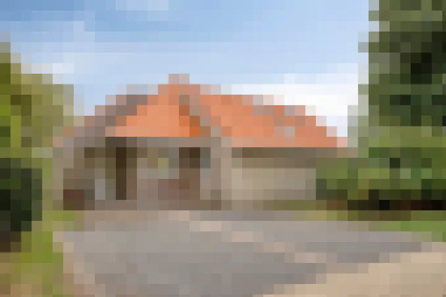 Meerkoet 11 Zoutelande thumbnail 6