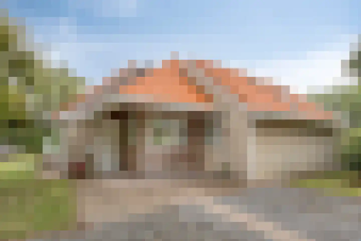 Meerkoet 11 Zoutelande thumbnail 7