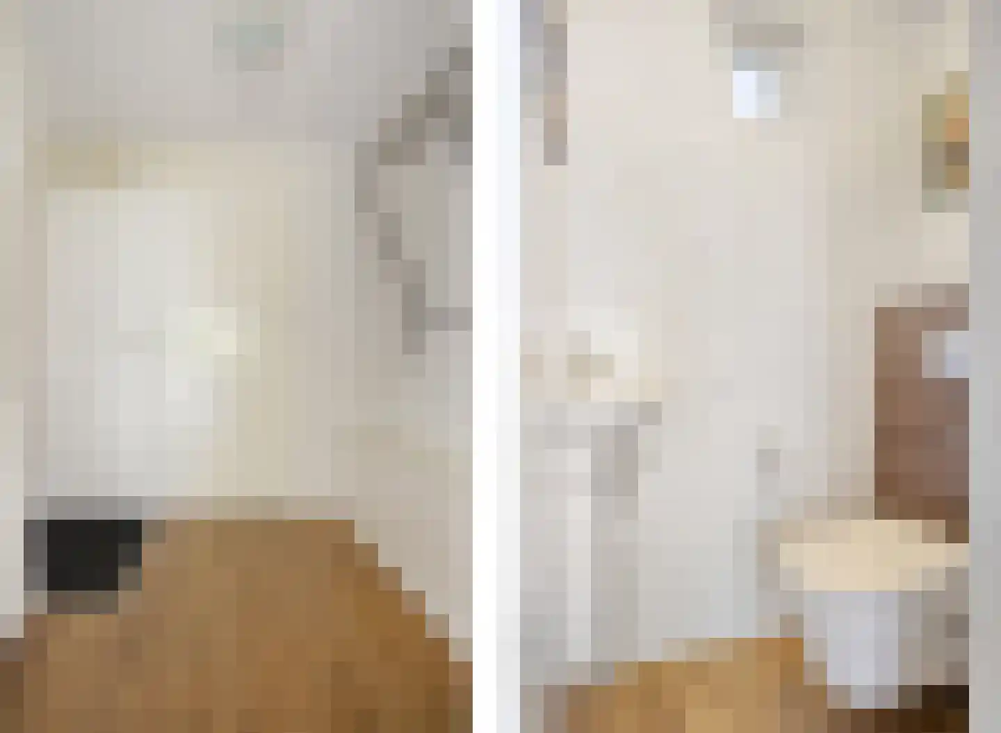 Meerkoet 11 Zoutelande thumbnail 8