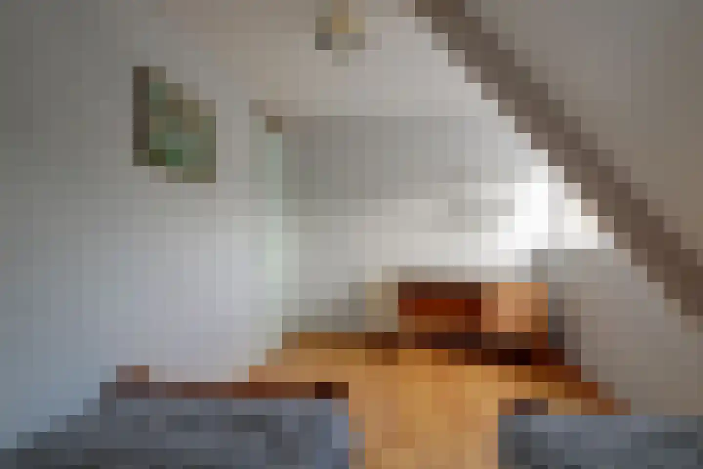 Meerkoet 12 Spanbroek thumbnail 35
