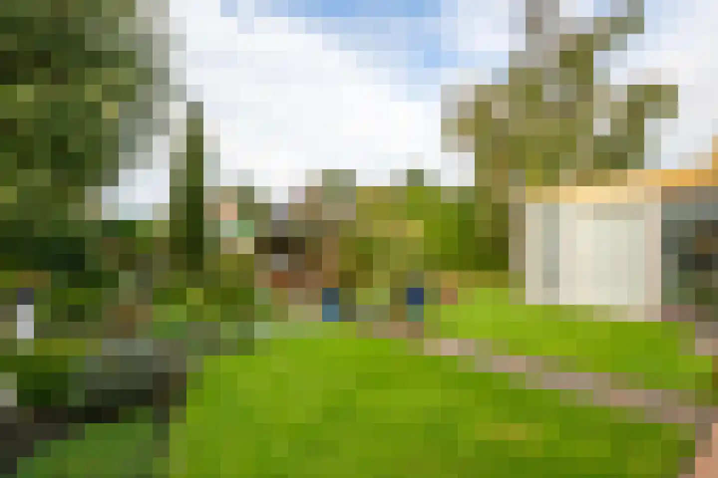 Meerkoet 12 Spanbroek thumbnail 4