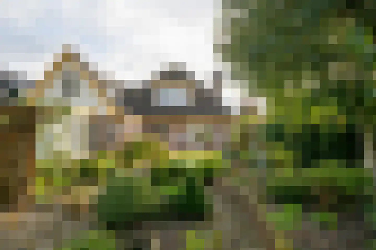 Meerkoet 12 Spanbroek thumbnail 44