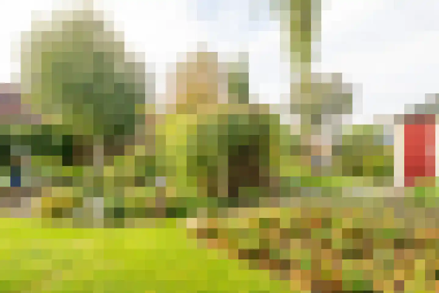 Meerkoet 12 Spanbroek thumbnail 46