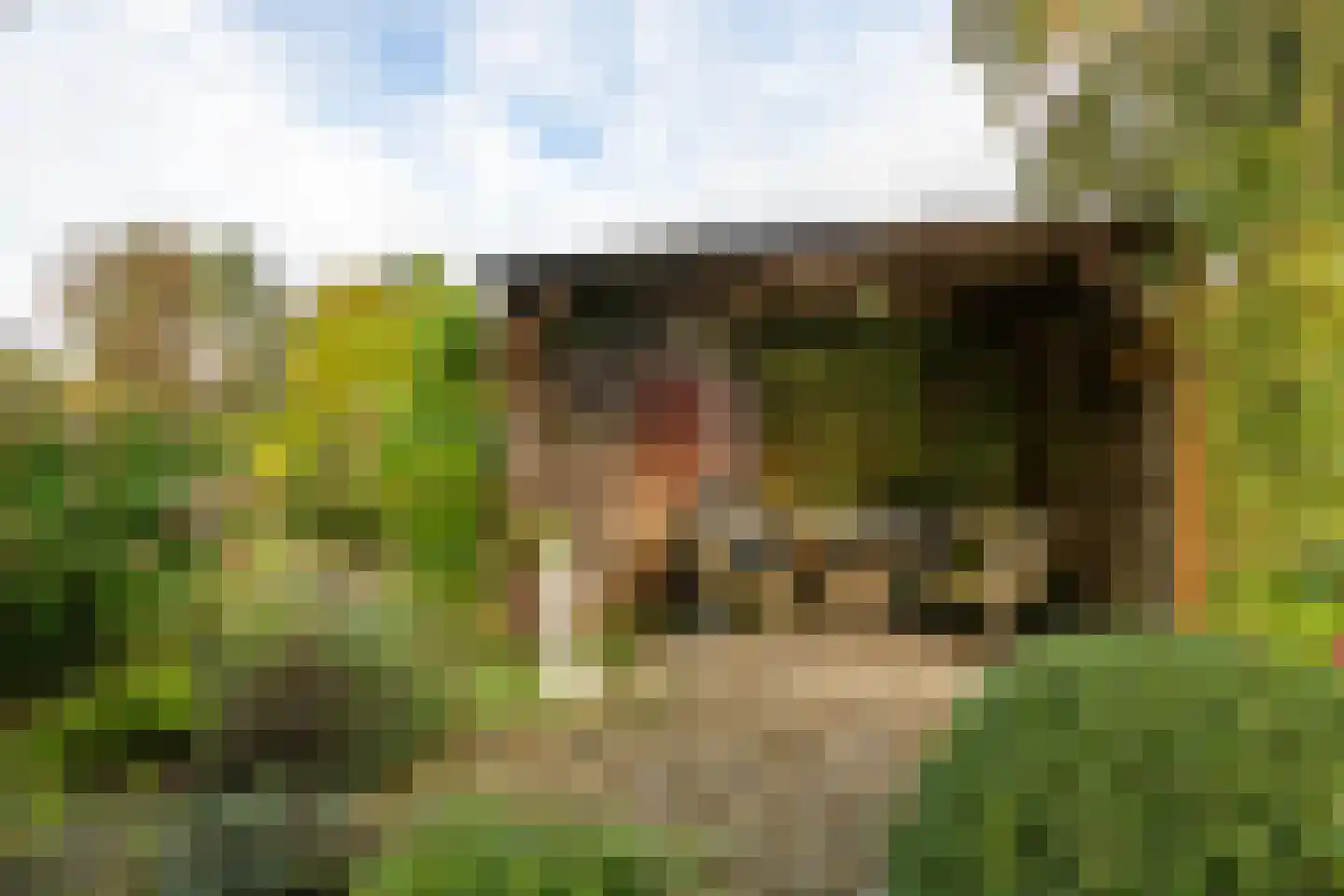 Meerkoet 12 Spanbroek thumbnail 48