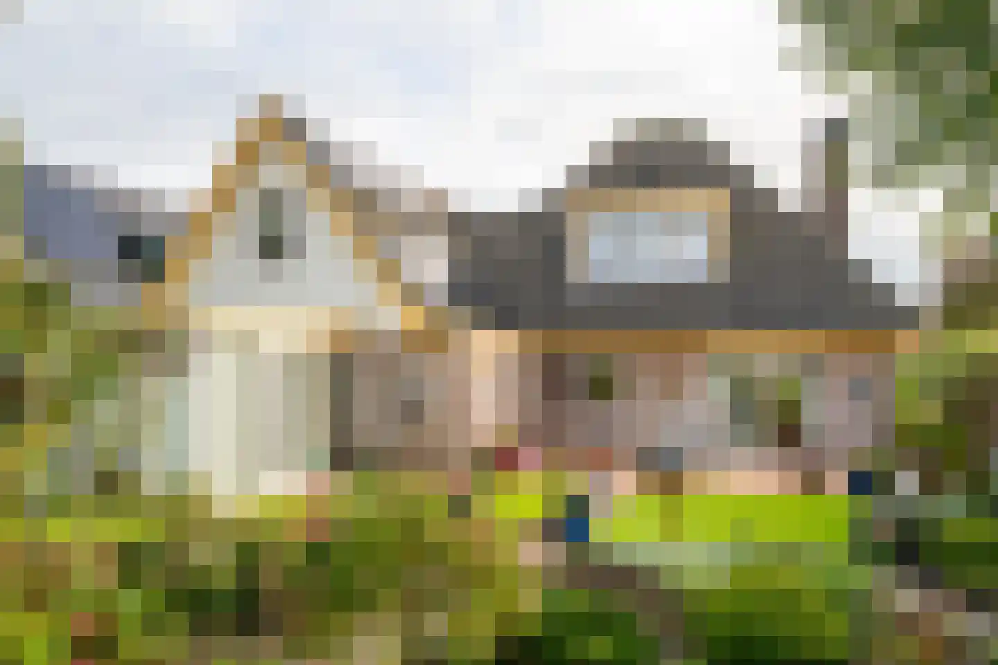 Meerkoet 12 Spanbroek thumbnail 5