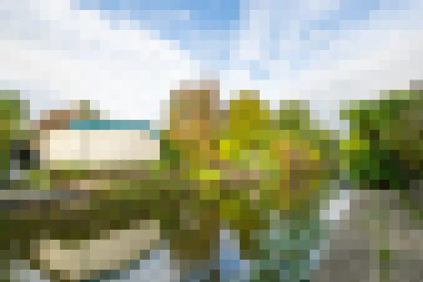 Meerkoet 12 Spanbroek thumbnail 50