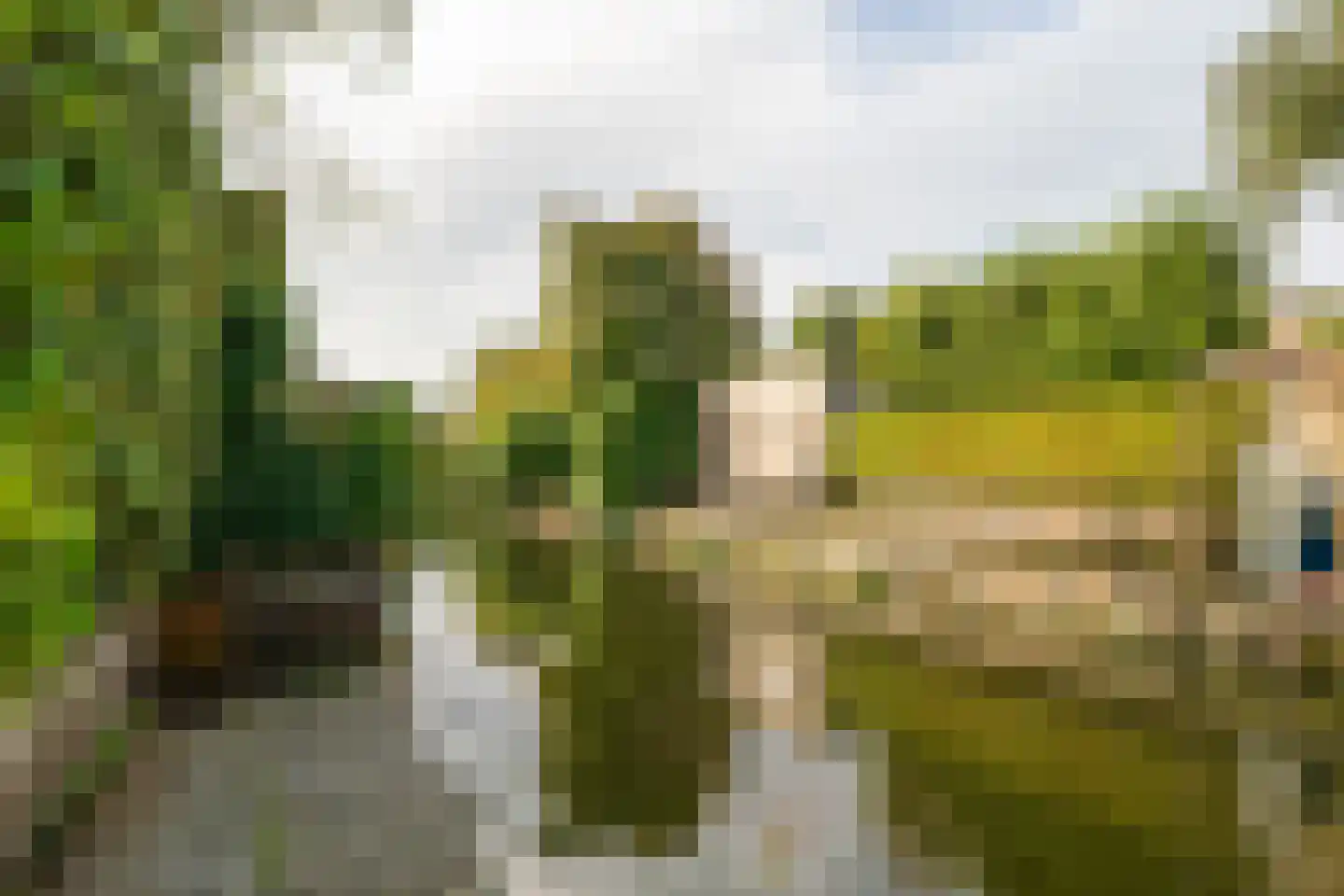 Meerkoet 12 Spanbroek thumbnail 51