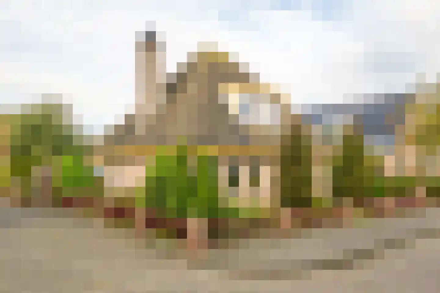Meerkoet 12 Spanbroek thumbnail 53