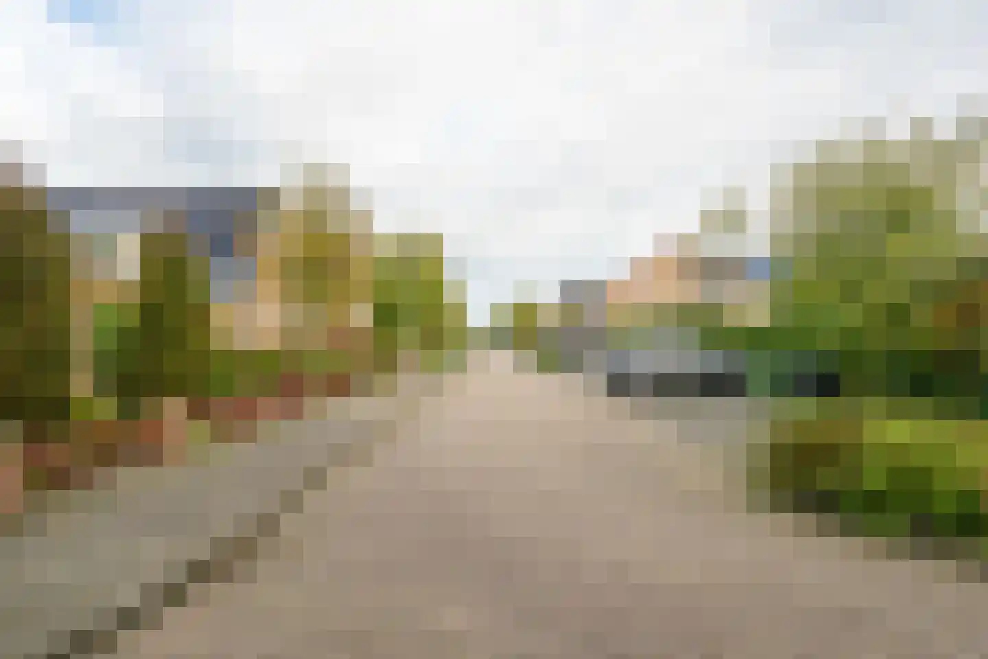 Meerkoet 12 Spanbroek thumbnail 55