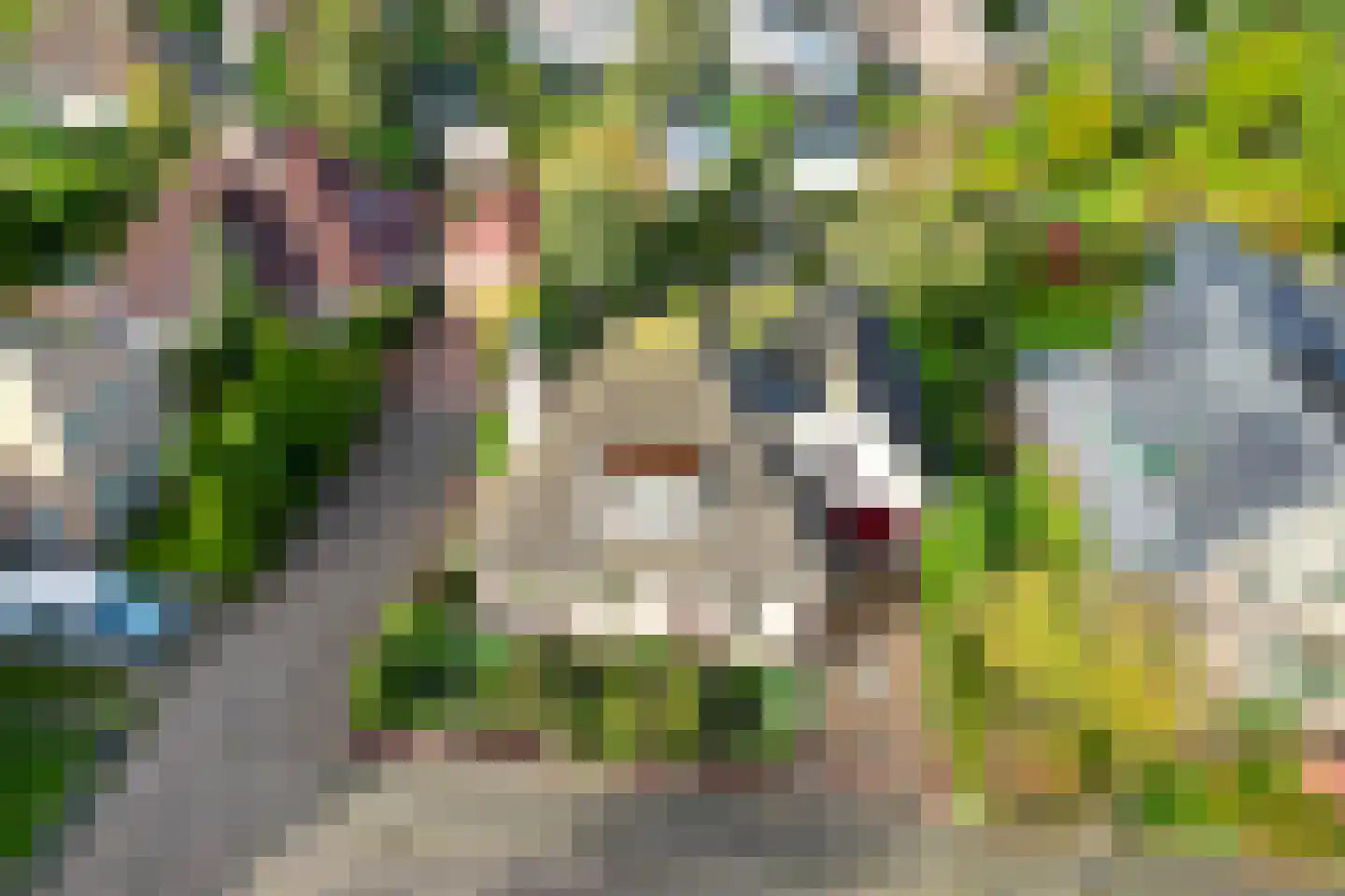 Meerkoet 12 Spanbroek thumbnail 57