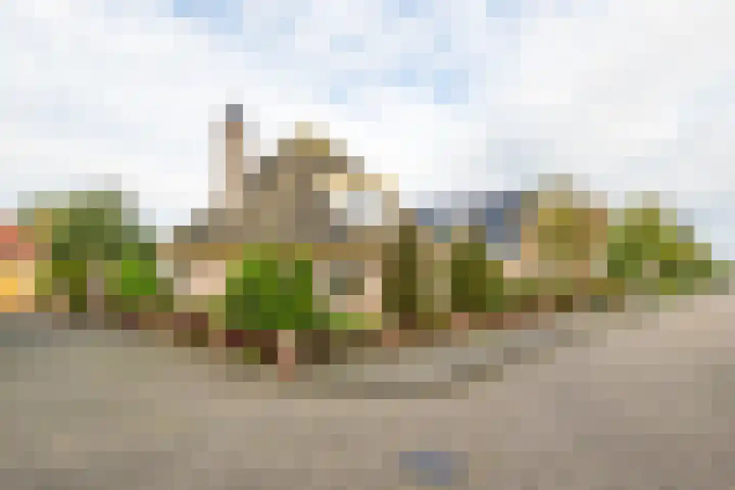 Meerkoet 12 Spanbroek thumbnail 6