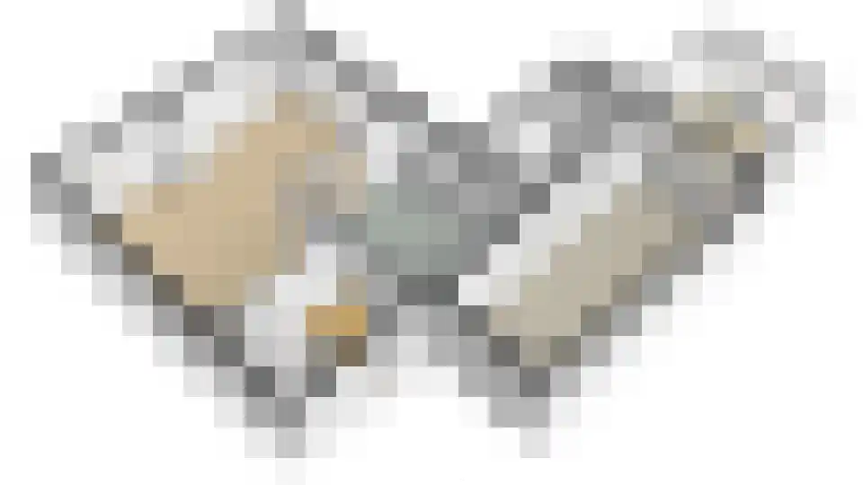 Meerkoet 12 Spanbroek thumbnail 60