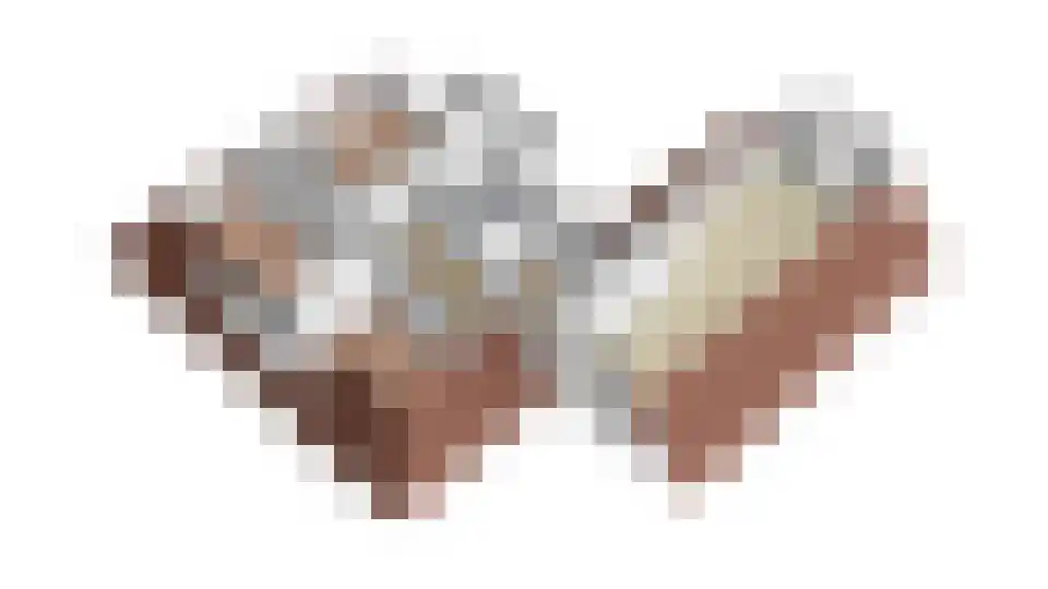 Meerkoet 12 Spanbroek thumbnail 63