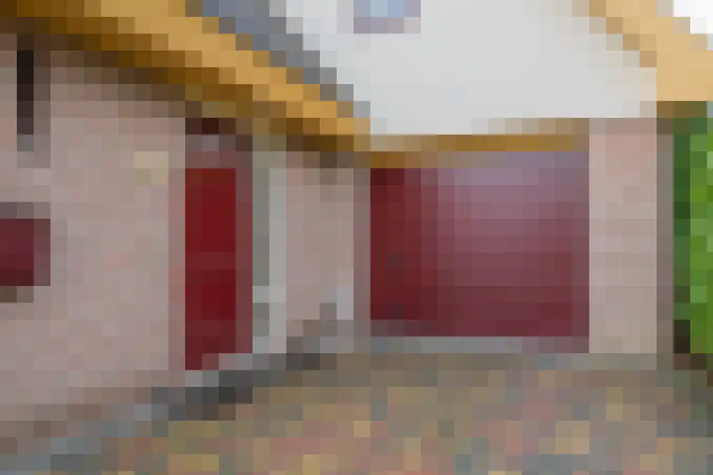 Meerkoet 12 Spanbroek thumbnail 8