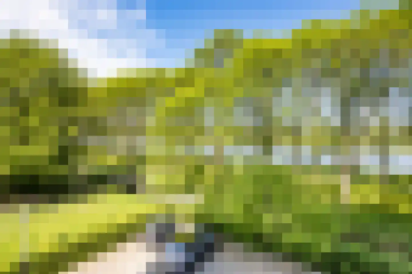 Meerkoet 13 Diemen thumbnail 14