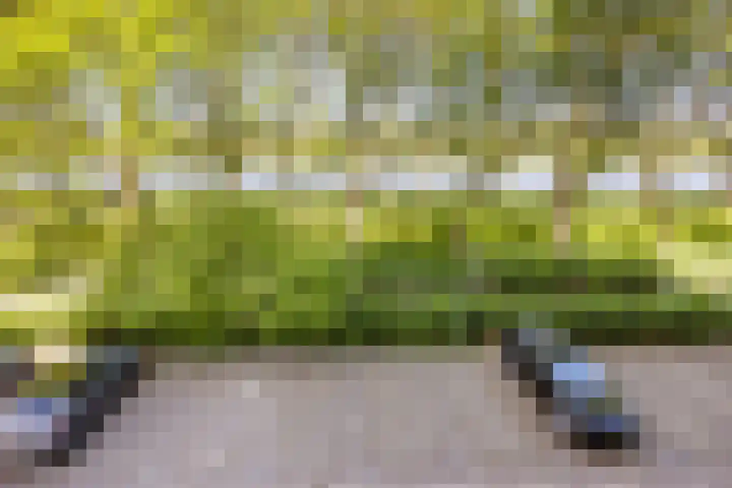 Meerkoet 13 Diemen thumbnail 15