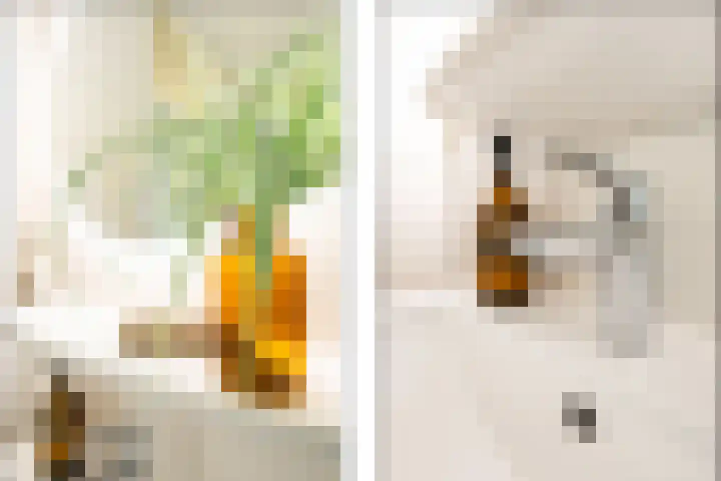 Meerkoet 13 Diemen thumbnail 27