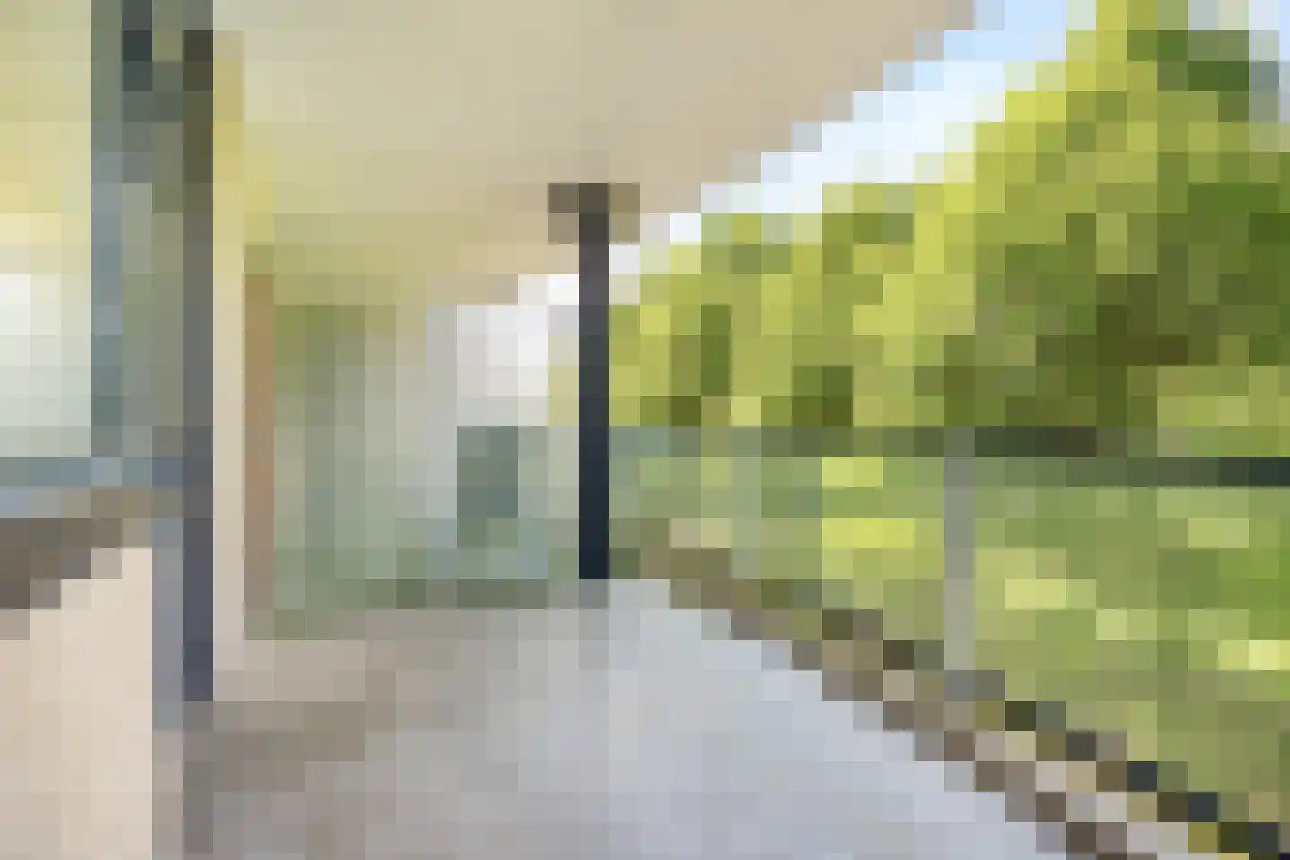 Meerkoet 13 Diemen thumbnail 31