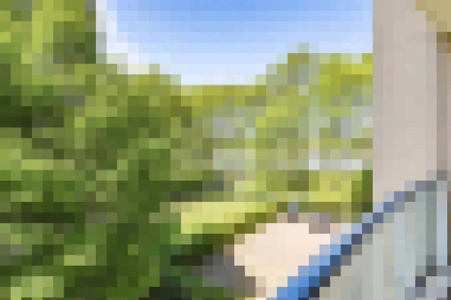 Meerkoet 13 Diemen thumbnail 32