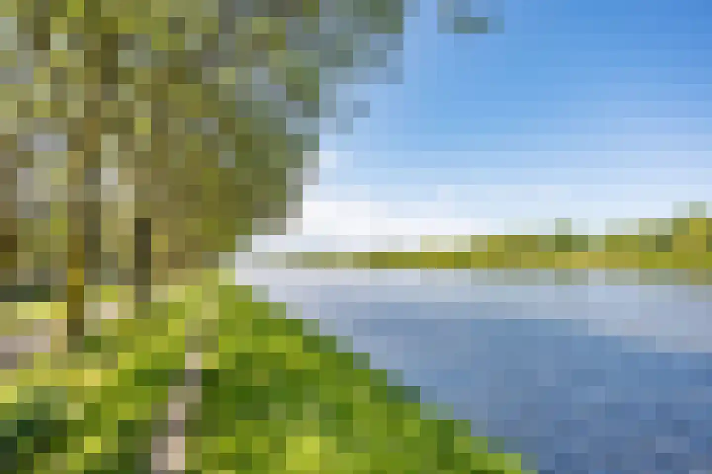 Meerkoet 13 Diemen thumbnail 38