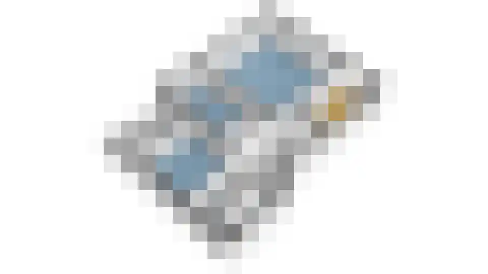 Meerkoet 13 Diemen thumbnail 41